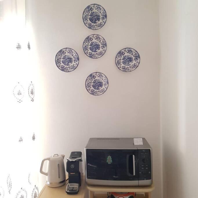 Gabry's Three-bedroom Big Near Center & Train Station To Pisa And Florence & Ferries To Sardegna Corsica Apartment Livorno